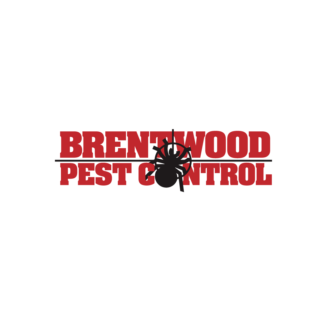 2023_sponsor_BrentwoodPest_logo