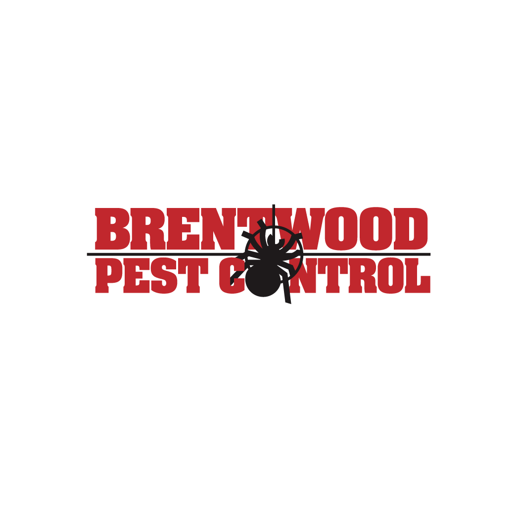 2023_sponsor_BrentwoodPest_logo 2023_sponsor_BrentwoodPest_logo